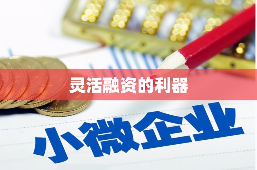 荣县灵活融资的利器