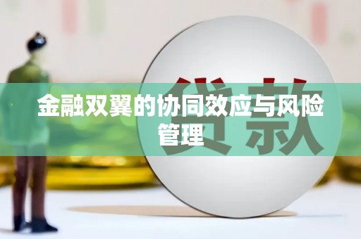 荣县金融双翼的协同效应与风险管理