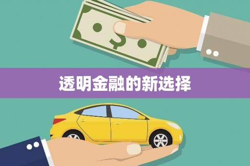 荣县透明金融的新选择