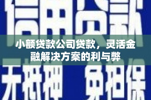 荣县小额贷款公司贷款，灵活金融解决方案的利与弊