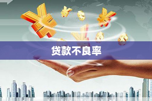 荣县贷款不良率